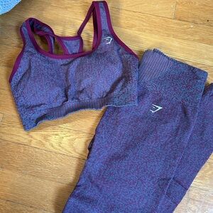 Gym Shark Matching Set